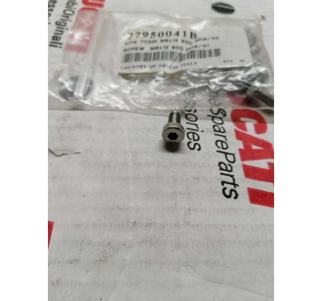 Vite TCEIR M6x12 - 77950041B