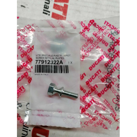 Tamper Proof Screw - 77912322A