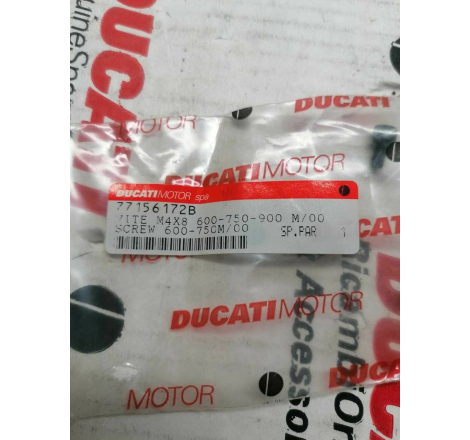 Vite M4X8 Per Monster - 77156172b