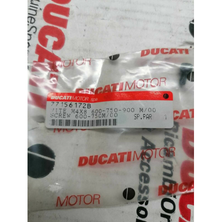 Vite M4X8 Per Monster - 77156172b