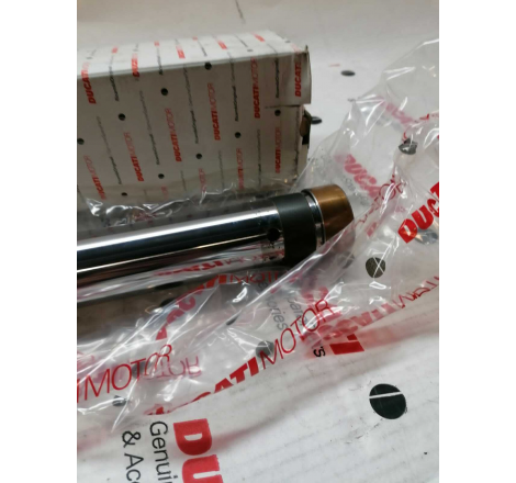 Stelo Forcella Sx Anteriore Per Monster - 35010101a
