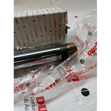 Stelo Forcella Sx Anteriore Per Monster - 35010101a