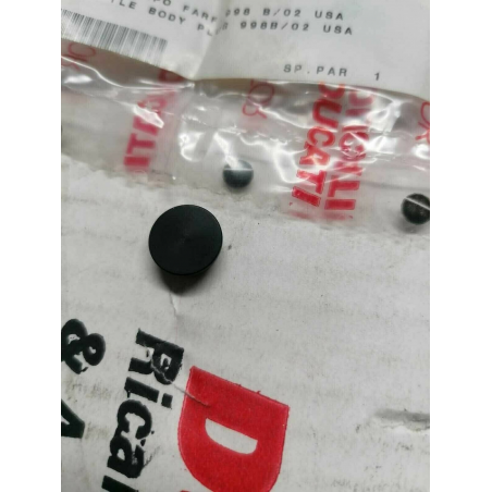Throttle Body Cap - 87210331a