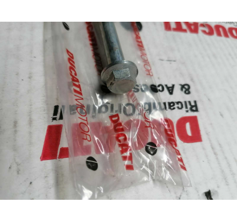 Vite Leva Freno Anteriore M10x1,25 Per Paso 907 - 77910121A