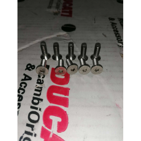 Pacchetto Viti - 041249965