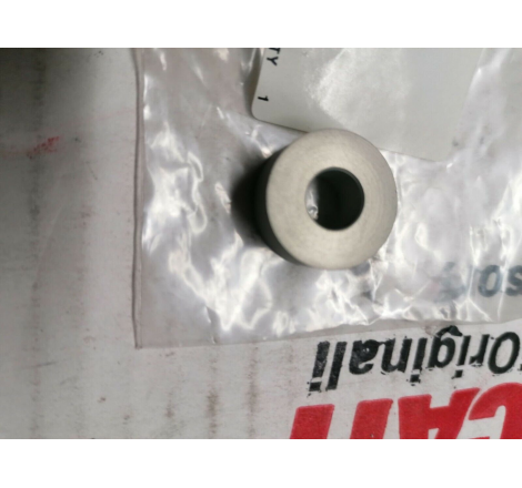 Bushing for Sport Classic - 96621306B