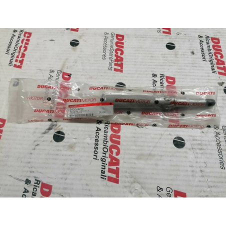 Pedana Snodata - 080269250