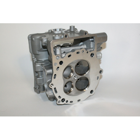 Horizontal Head For Panigale 1199 - 30123461D