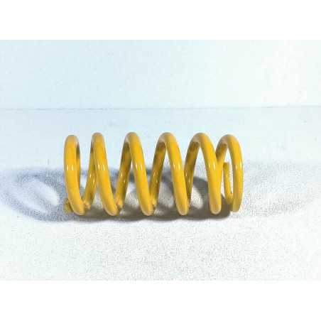 K90 Spring For Diavel - 36640321A