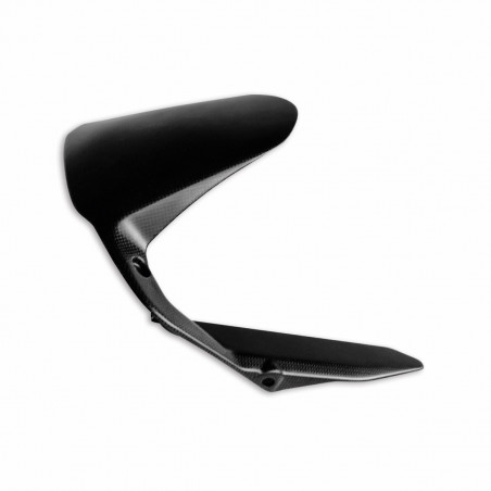 Carbon Fender For Monster - 96981021A