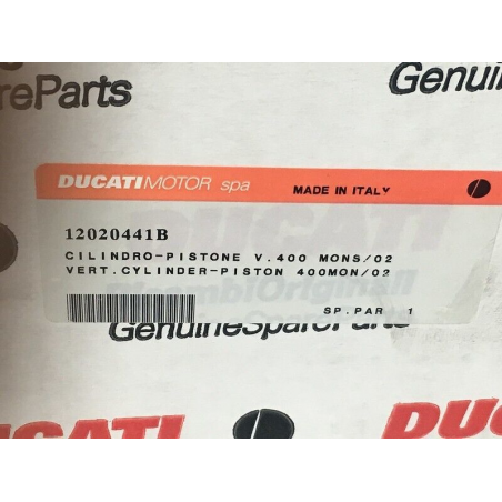 Cylinder-Piston V.400 Mons/03 - 12020442B