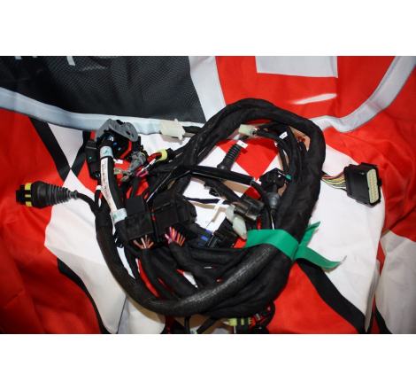 Cablaggio Principale Per Monster 1100 - 51015911C
