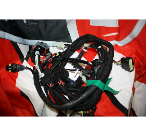 Cablaggio Principale Per Monster 1100 - 51015911C