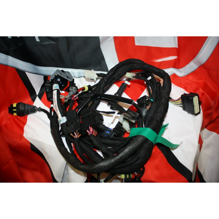 Cablaggio Principale Per Monster 1100 - 51015911C