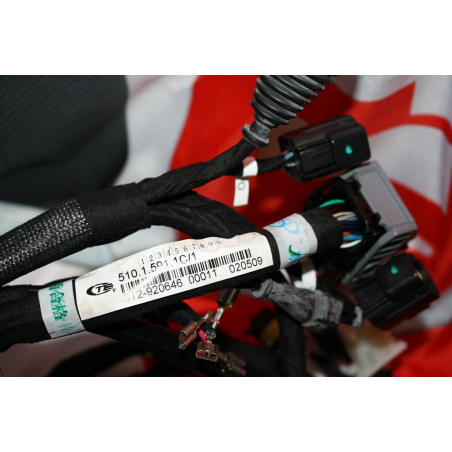 Cablaggio Principale Per Monster 1100 - 51015911C