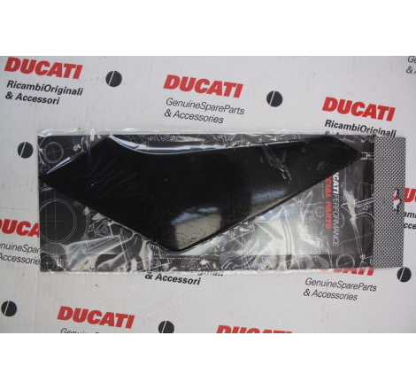 Coppia Protezioni Adesive Con Anima Interna In Carbonio Per Multistrada - 969A08710B