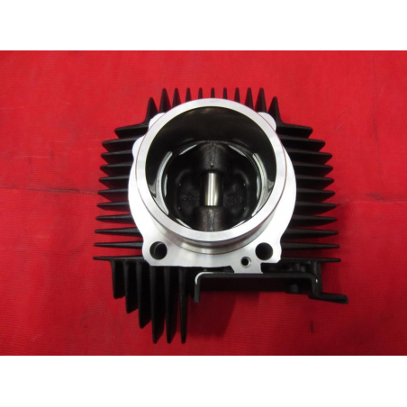 Horizontal Cylinder-Piston - 034017600