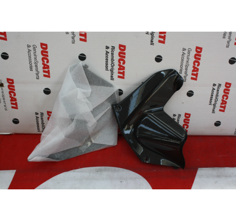 Pair of Carbon Air Extractors for Multistrada - 969A01510B