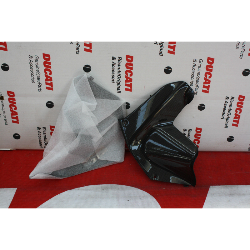 Pair of Carbon Air Extractors for Multistrada - 969A01510B