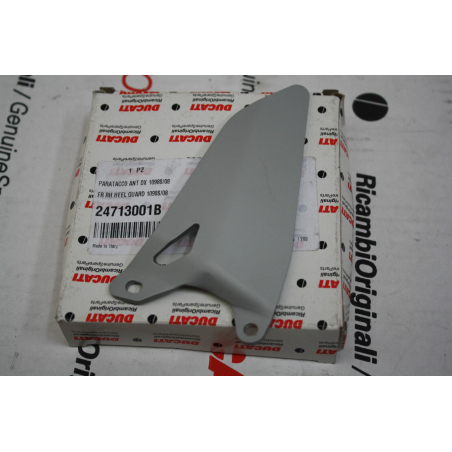 Right Foot Protection For Superbike - 24713001B