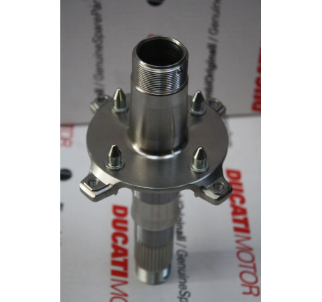 Rear Wheel Axle - 819Z0011A