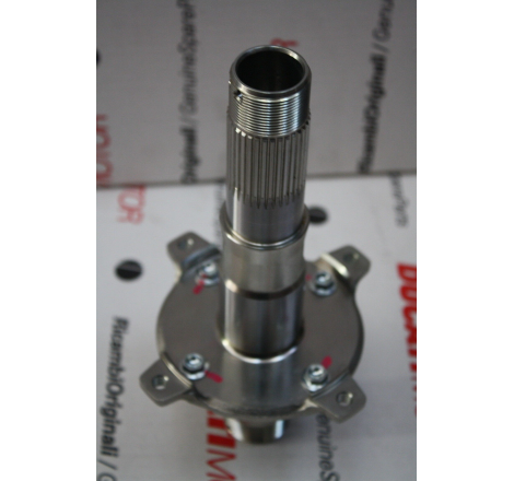 Rear Wheel Axle - 819Z0011A