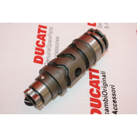 Desmodromico Completo - 18220091A