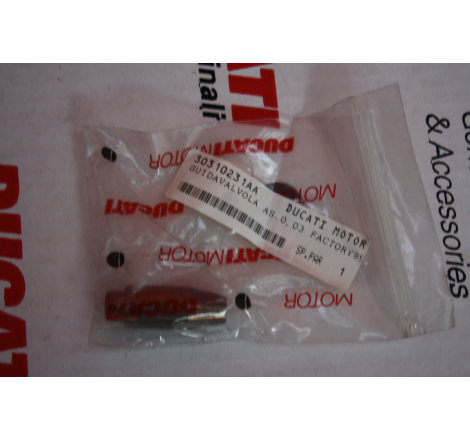 Superbike Intake Valve Guide - 30310231AA