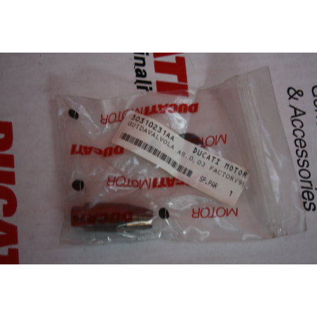 Superbike Intake Valve Guide - 30310231AA