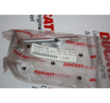 Intake Valve For Superbike - 066092110