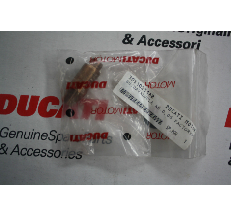 Increased Intake Valve Guide For Superbikes - 30310231AB