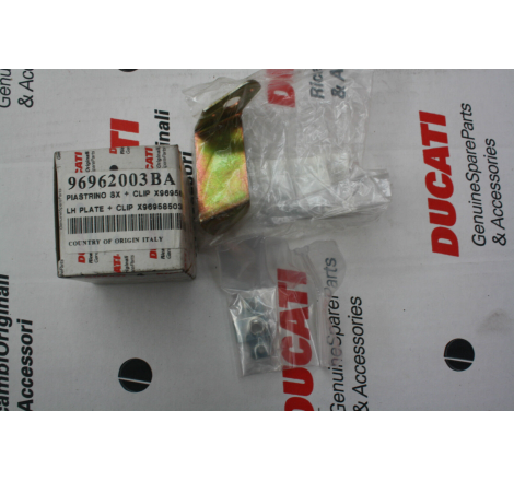Piastrino Sx + Clip X 96958503B - 96962003BA