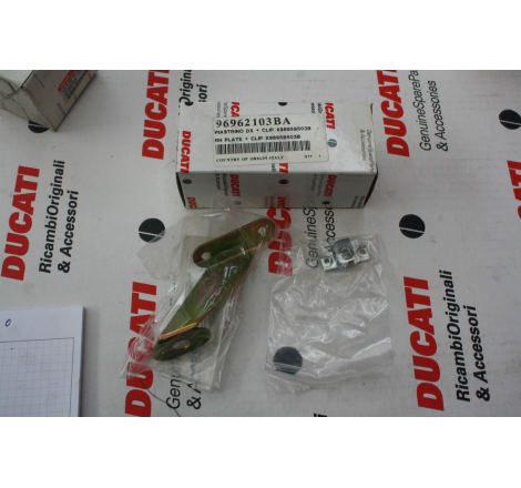 Piastrino Dx + Clip X 96958503B - 96962103BA