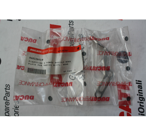 Piastrino Per Pompa Radiale Per Monster - 96823802B