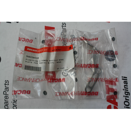 Piastrino Per Pompa Radiale Per Monster - 96823802B
