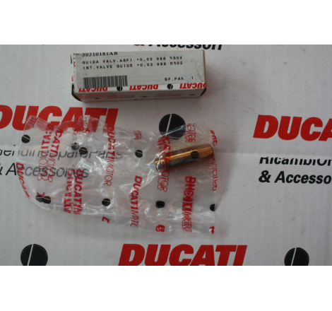 Guidavalvola Aspirazione +0.03 Per Superbike - 30310181AB