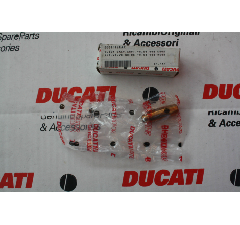 Intake Valve Guide +0.06 For Superbike - 30310181AC