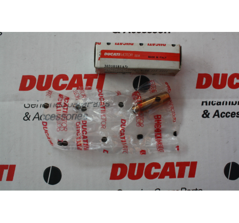 Intake Valve Guide For Superbike - 30310181AD