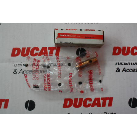 Intake Valve Guide For Superbike - 30310181AD