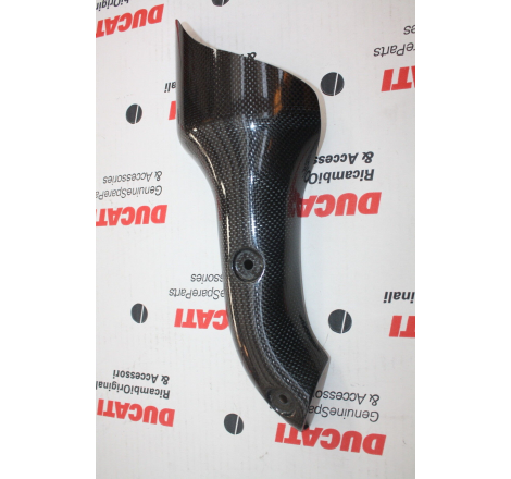 Protezione Silenziatore Sx Alto Termignoni Fin. D.50 - 969410AAA