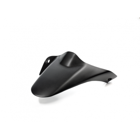 Carbon Rear Mudguard Monster 1200 - 96980381A