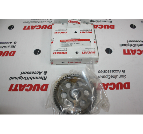 Pump Control Gear For Superbike - 17410121A