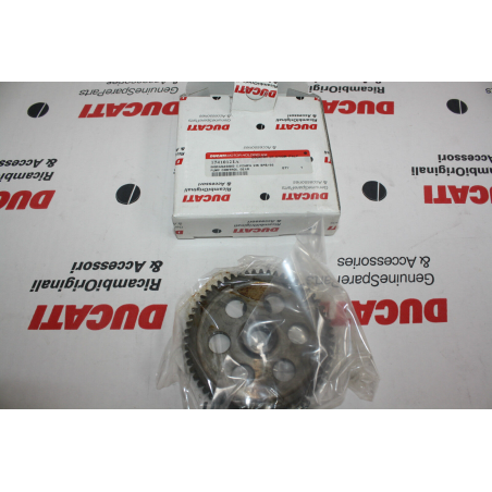 Pump Control Gear For Superbike - 17410121A