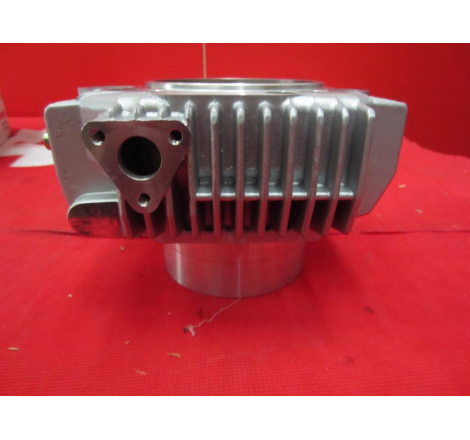 Cilindro Orizzontale Completo Per Sport Touring - 12020373BB