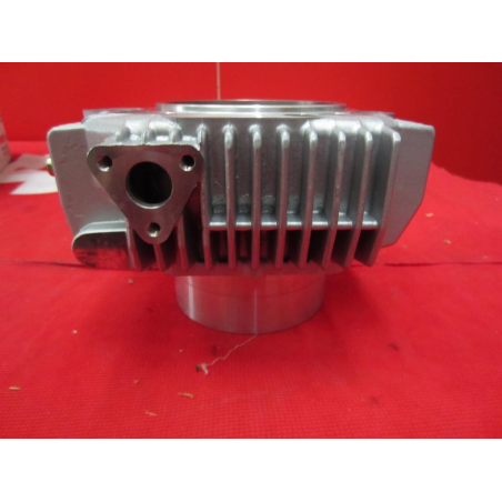 Complete Horizontal Cylinder For Sport Touring - 12020373BB