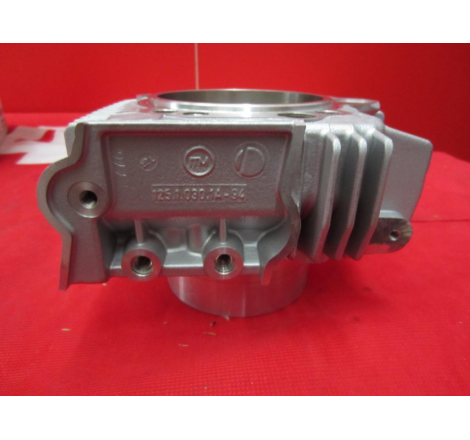 Complete Horizontal Cylinder For Sport Touring - 12020373BB