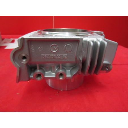 Complete Horizontal Cylinder For Sport Touring - 12020373BB