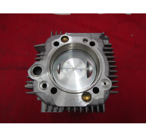 Complete Horizontal Cylinder For Sport Touring - 12020373BB