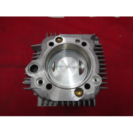 Complete Horizontal Cylinder For Sport Touring - 12020373BB