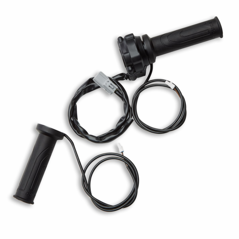 Heated Grips - 96680574A